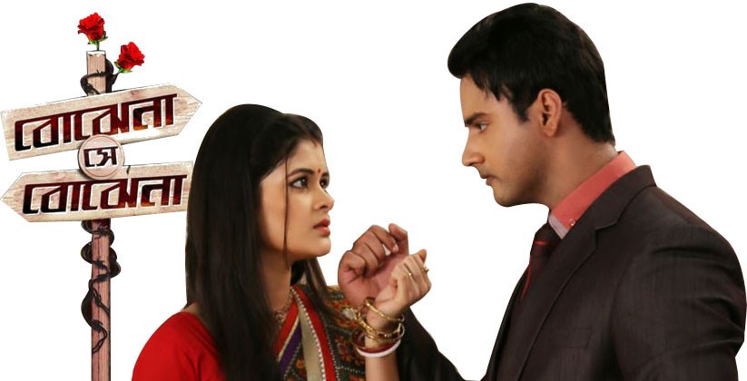 বোঝেনা সে বোঝেনা !